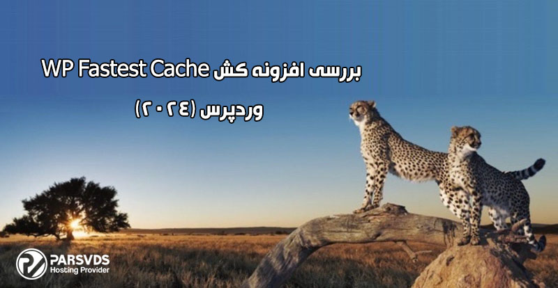 بررسی افزونه کش WP Fastest Cache وردپرس (2024)