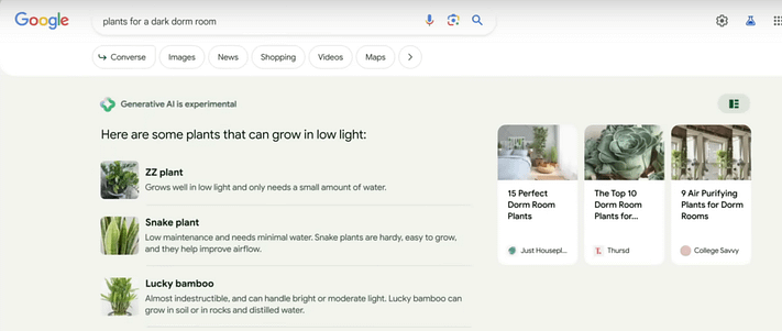 AI results in Google