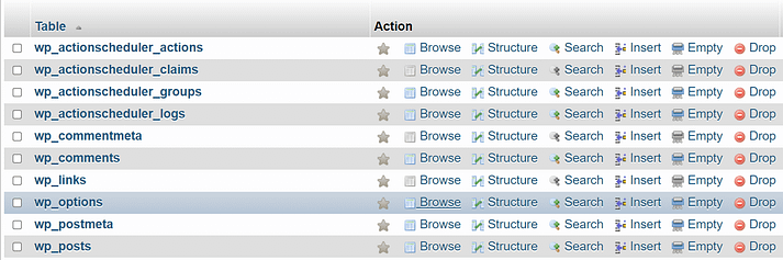 The wp-options table.