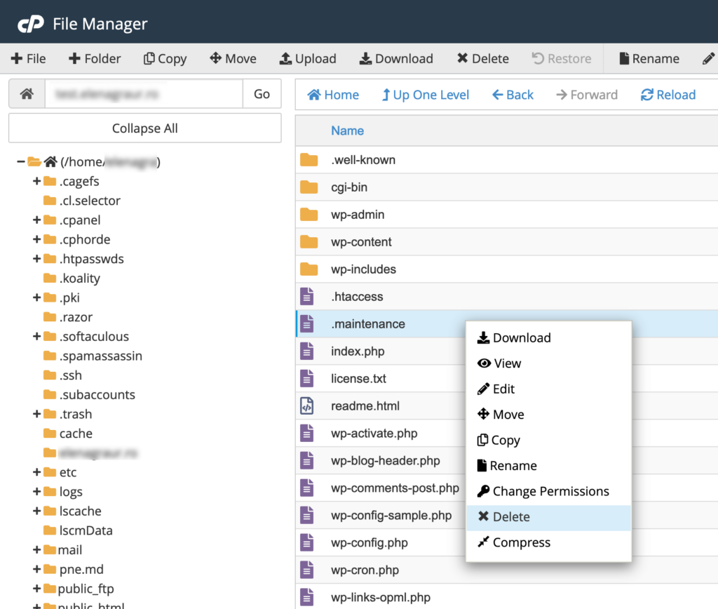 Delete the .maintenance file in cPanel