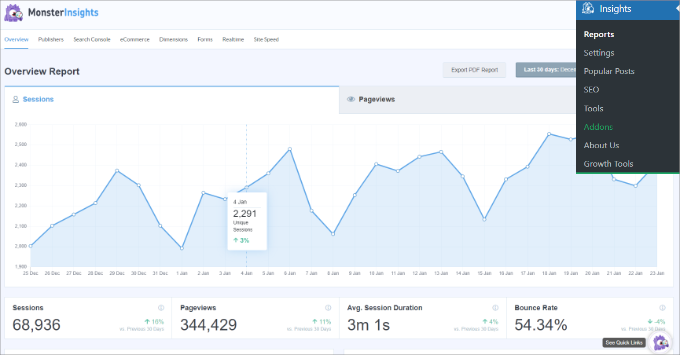 MonsterInsights reports