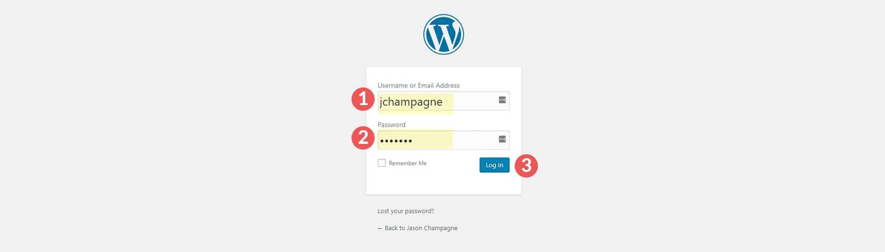 log in to WordPress