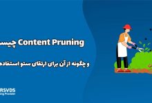 Content Pruning چیست؟ و چگونه از آن برای ارتقای سئو استفاده کنیم؟